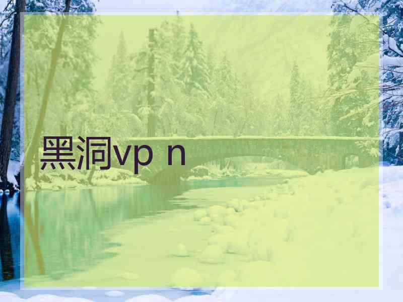 黑洞vp n