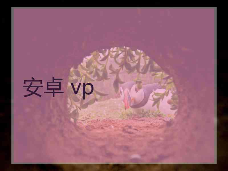 安卓 vp